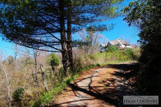 Image number 2 for the current listing