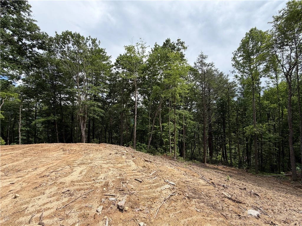Image number 6 for the current listing