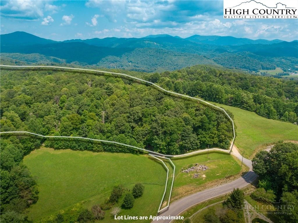 Image number 1 for the current listing