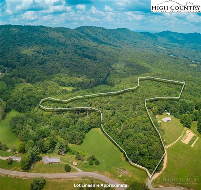Image number 3 for the current listing