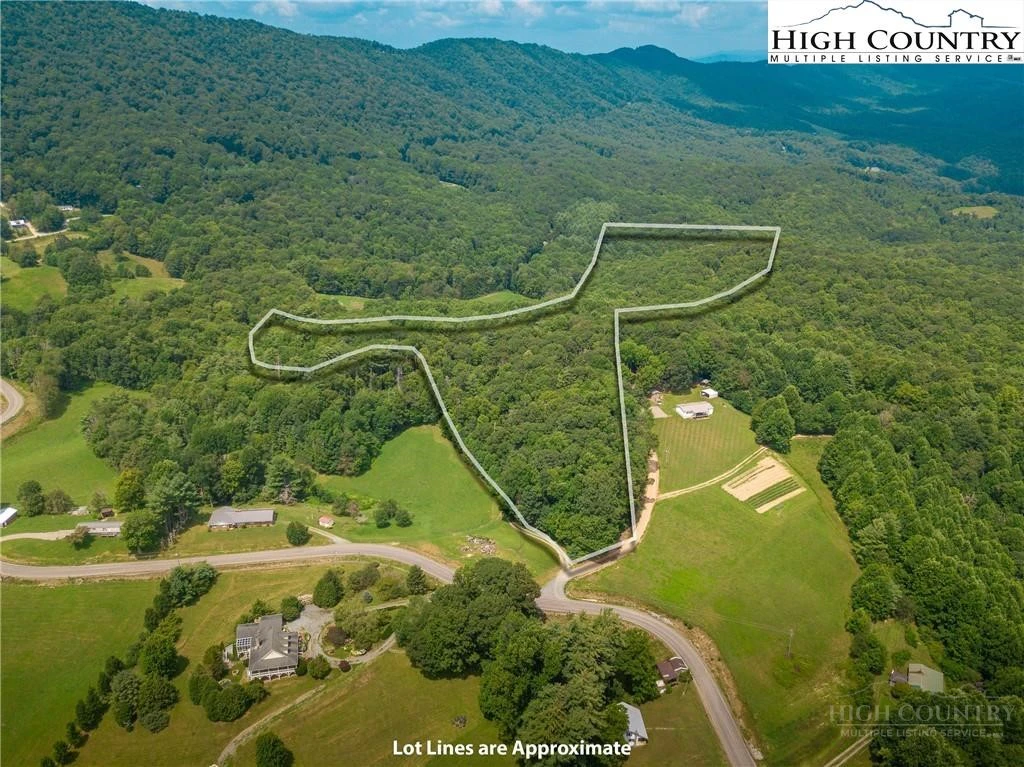 Image number 4 for the current listing