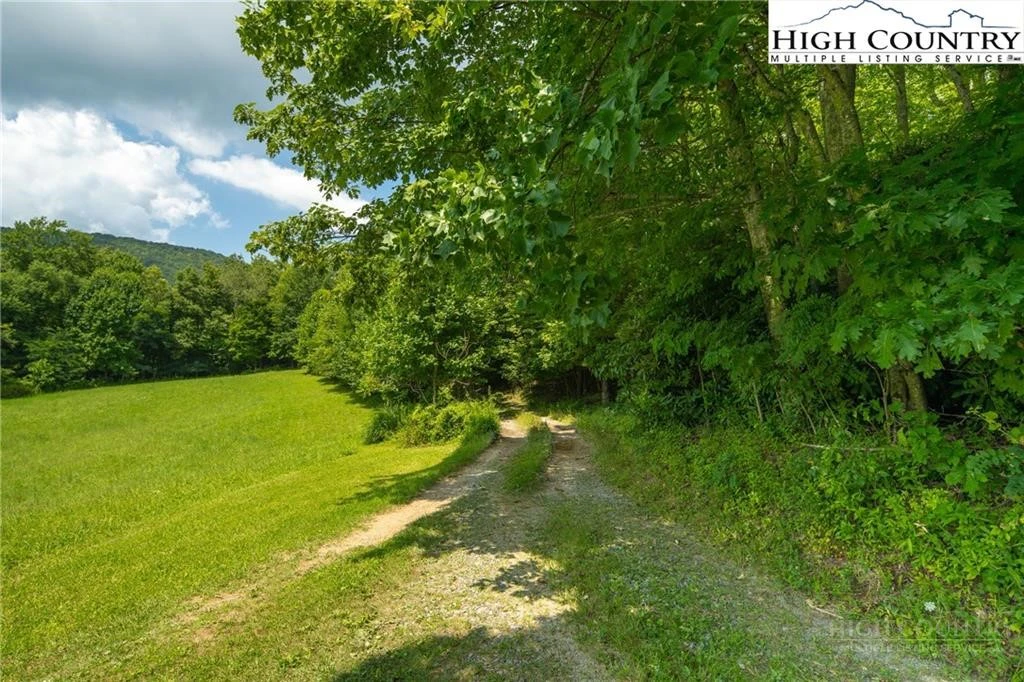 Image number 10 for the current listing