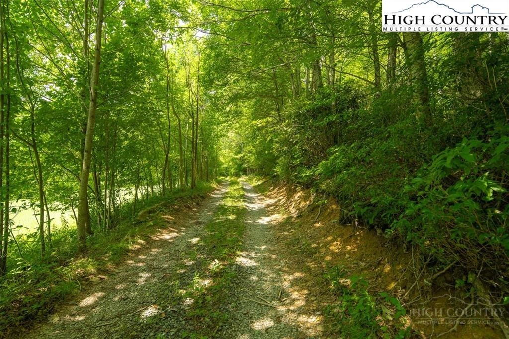 Image number 11 for the current listing