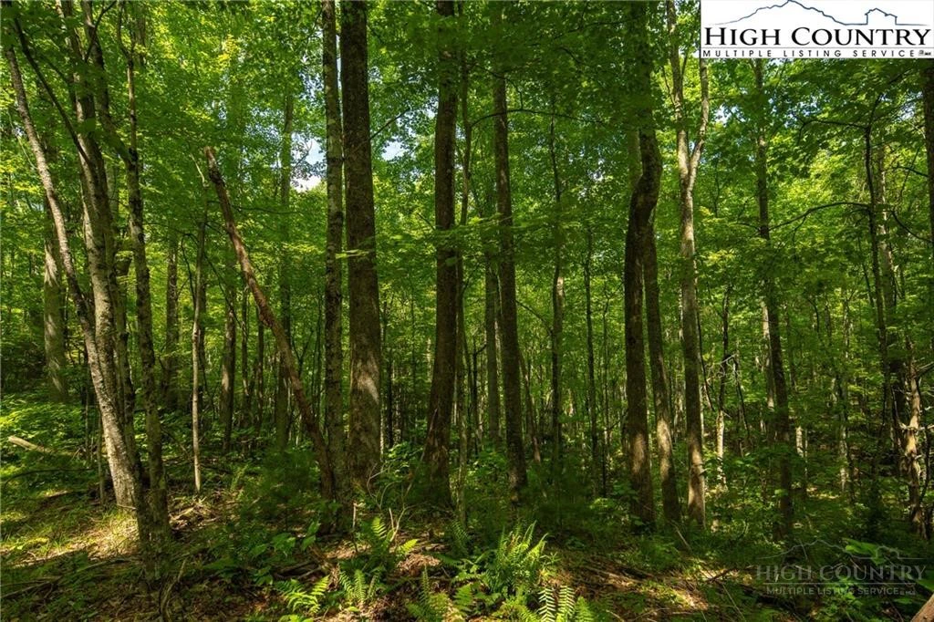 Image number 14 for the current listing