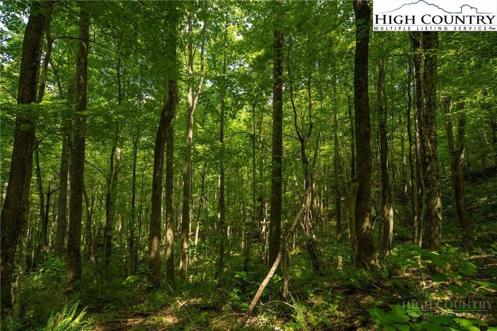 Image number 15 for the current listing