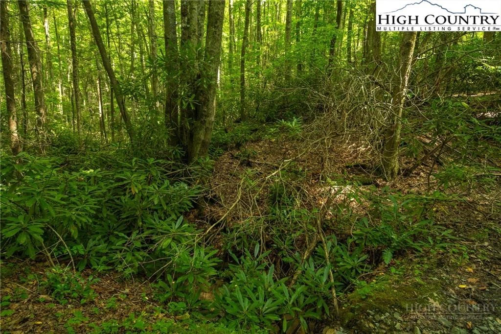 Image number 19 for the current listing