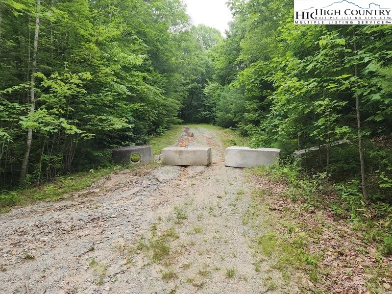 Image number 3 for the current listing