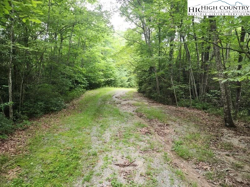 Image number 4 for the current listing