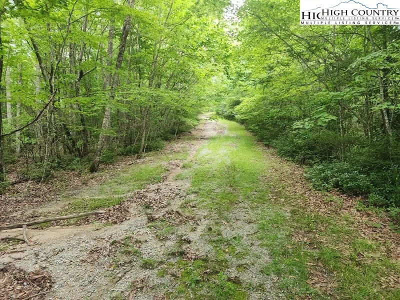 Image number 5 for the current listing