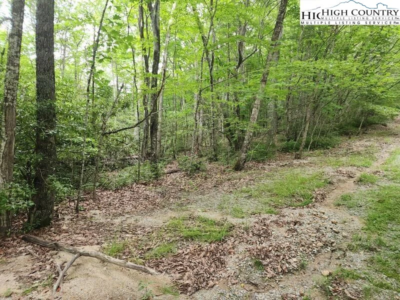 Image number 6 for the current listing