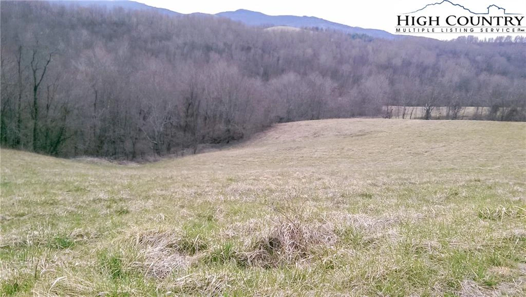 Image number 1 for the current listing