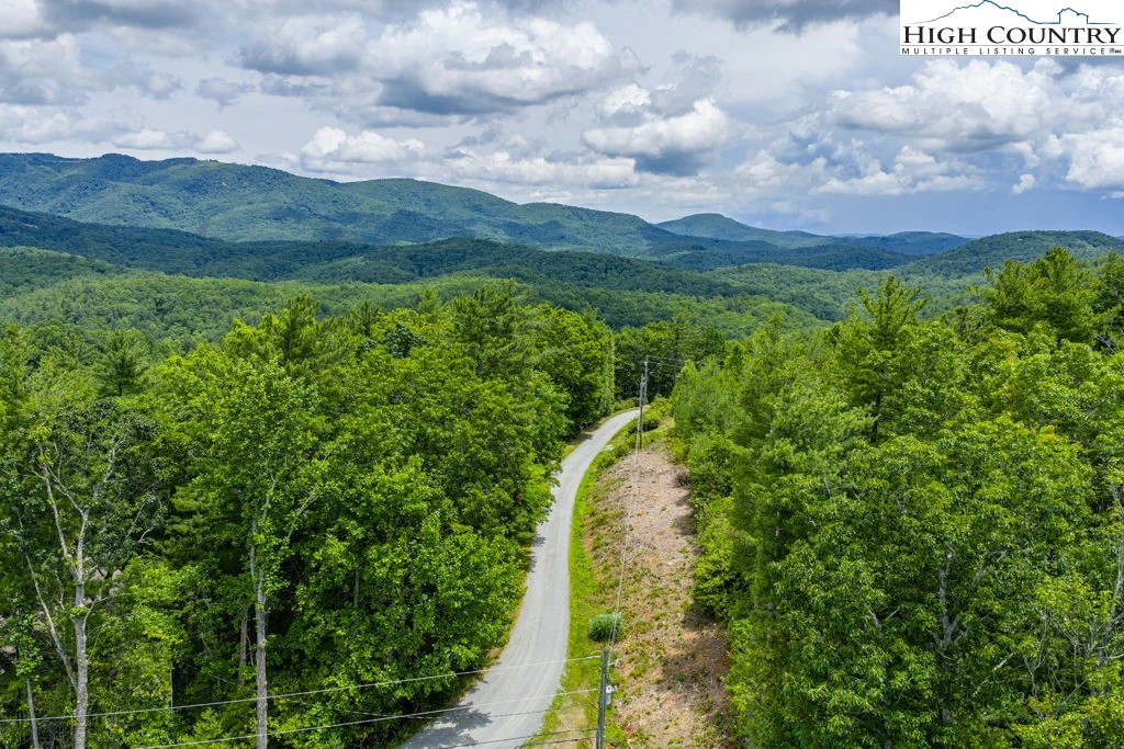 Image number 1 for the current listing