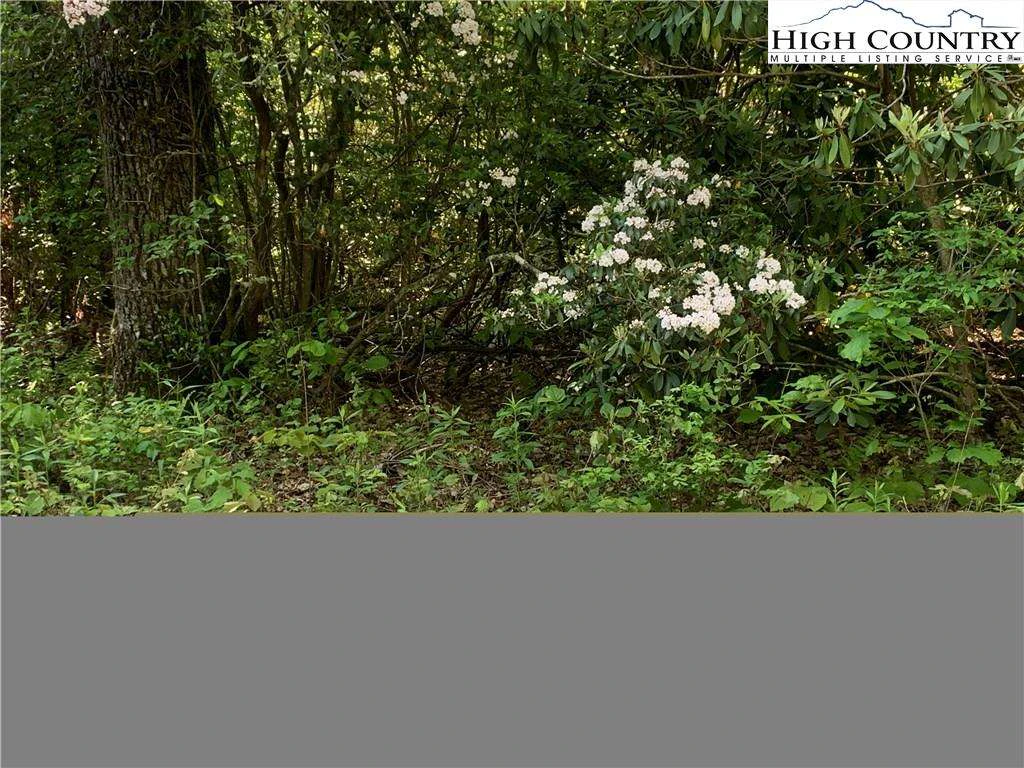 Image number 1 for the current listing