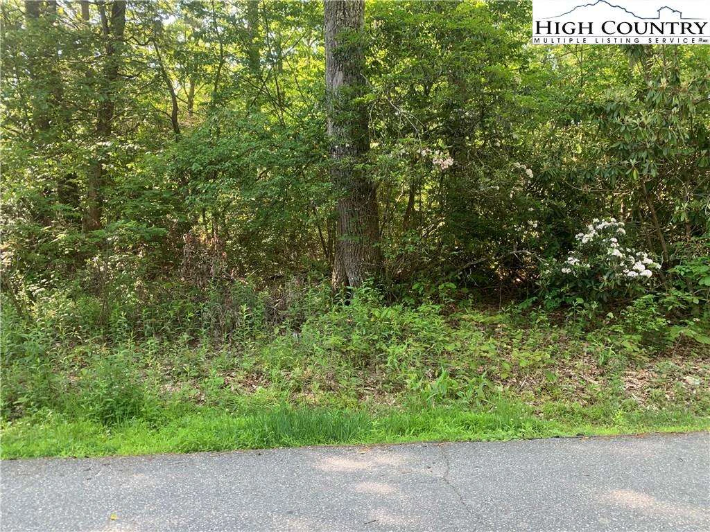 Image number 3 for the current listing