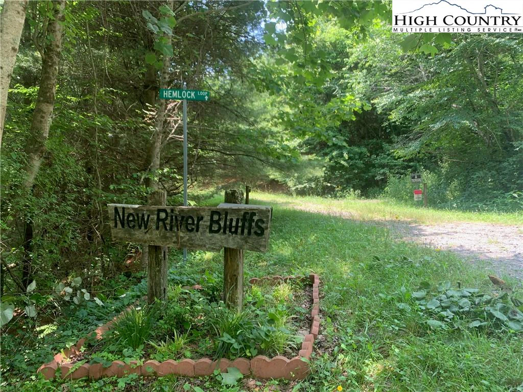 Image number 1 for the current listing