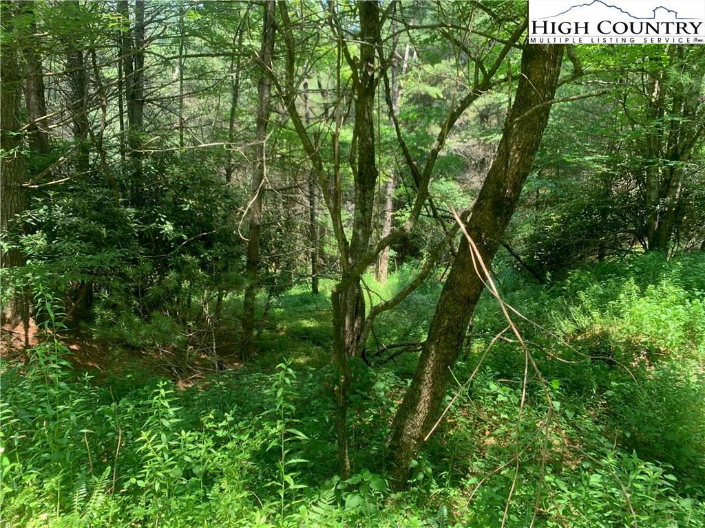 Image number 18 for the current listing