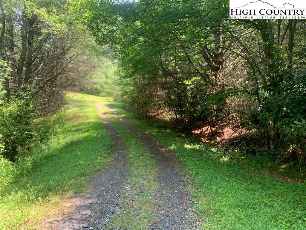 Image number 17 for the current listing