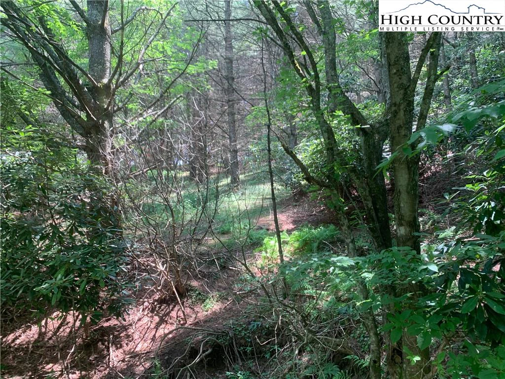 Image number 16 for the current listing