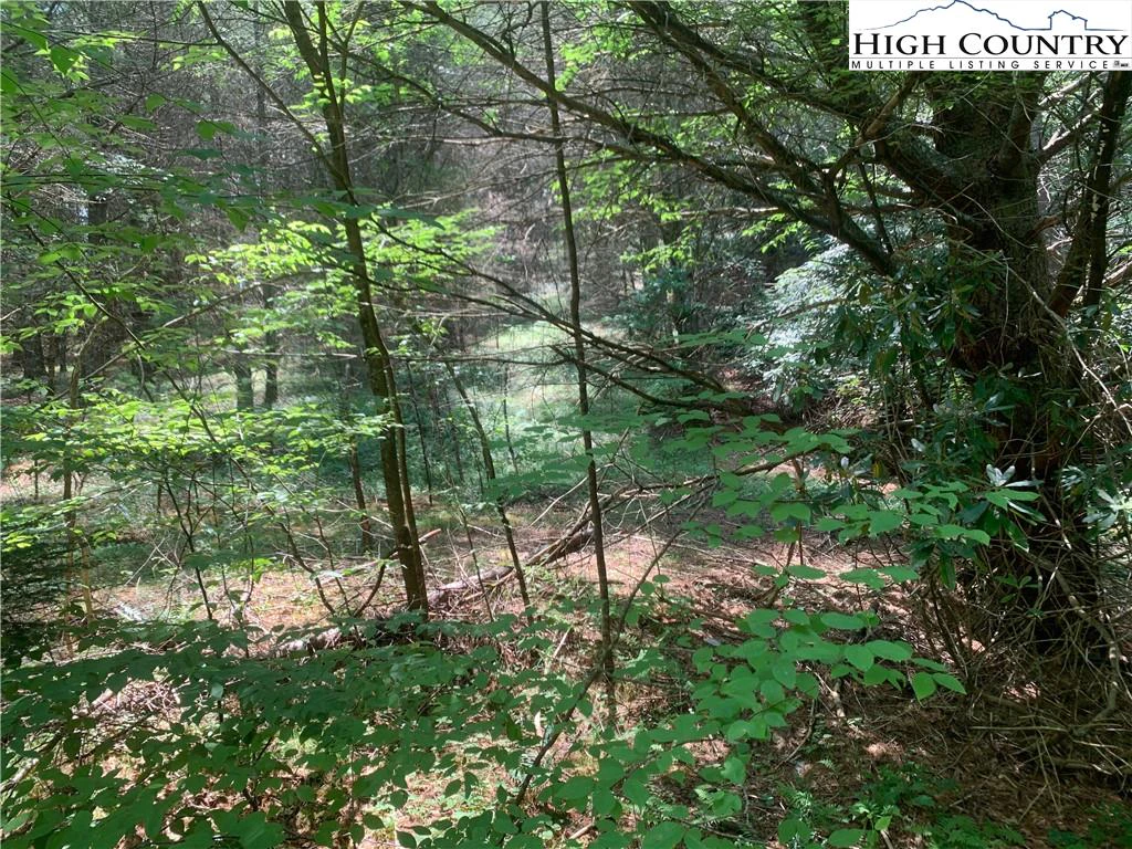 Image number 2 for the current listing