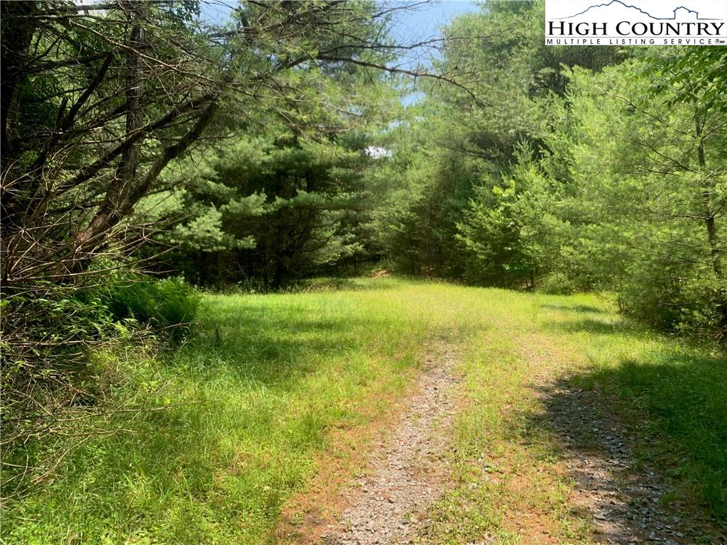 Image number 15 for the current listing