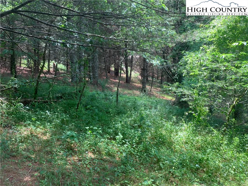 Image number 14 for the current listing