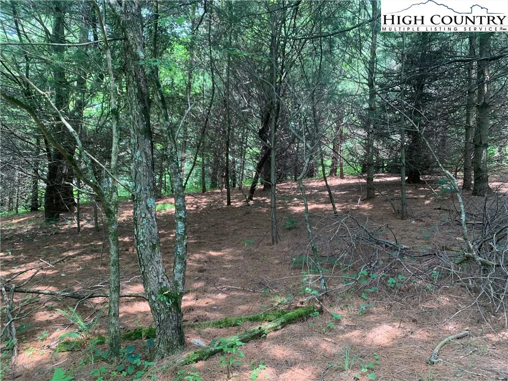 Image number 13 for the current listing