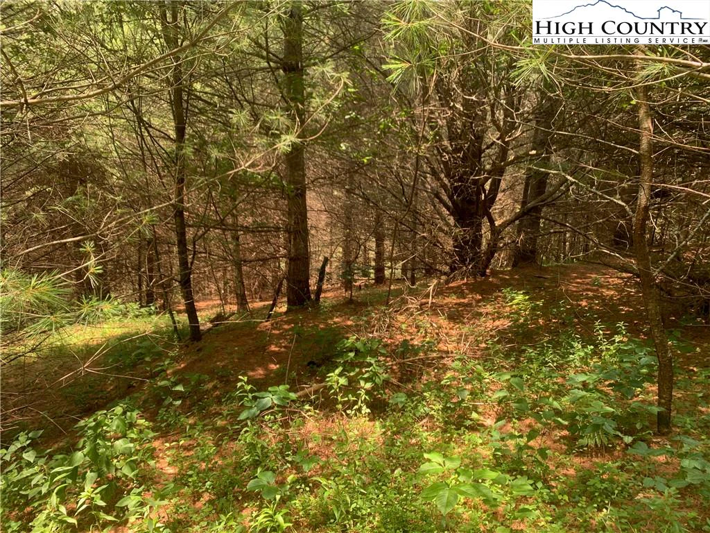 Image number 12 for the current listing