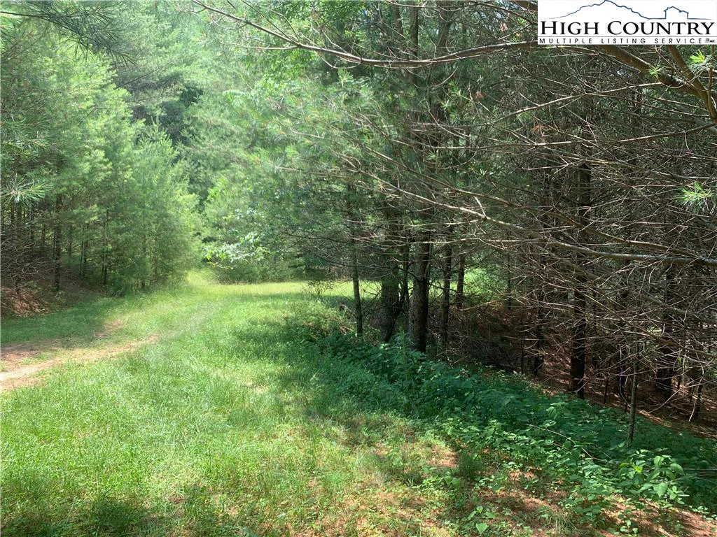 Image number 11 for the current listing