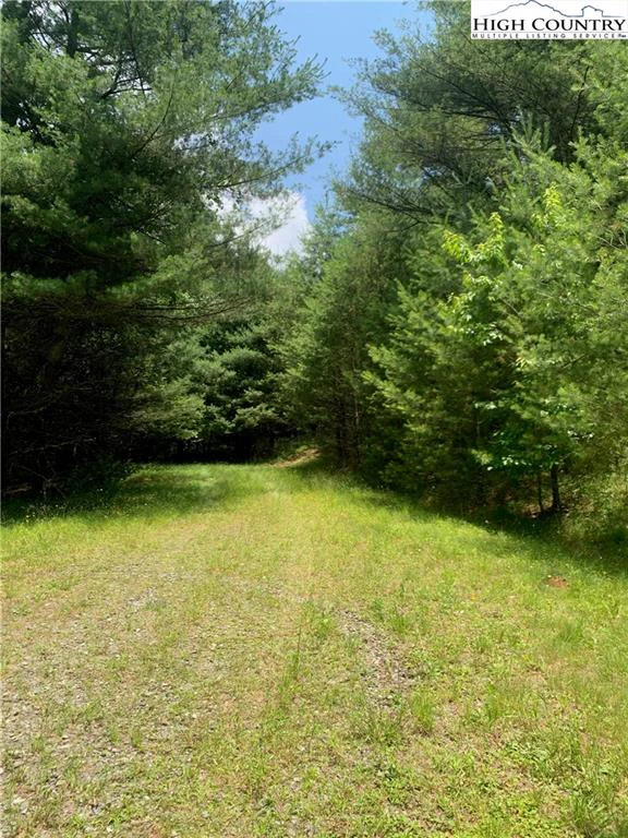 Image number 8 for the current listing