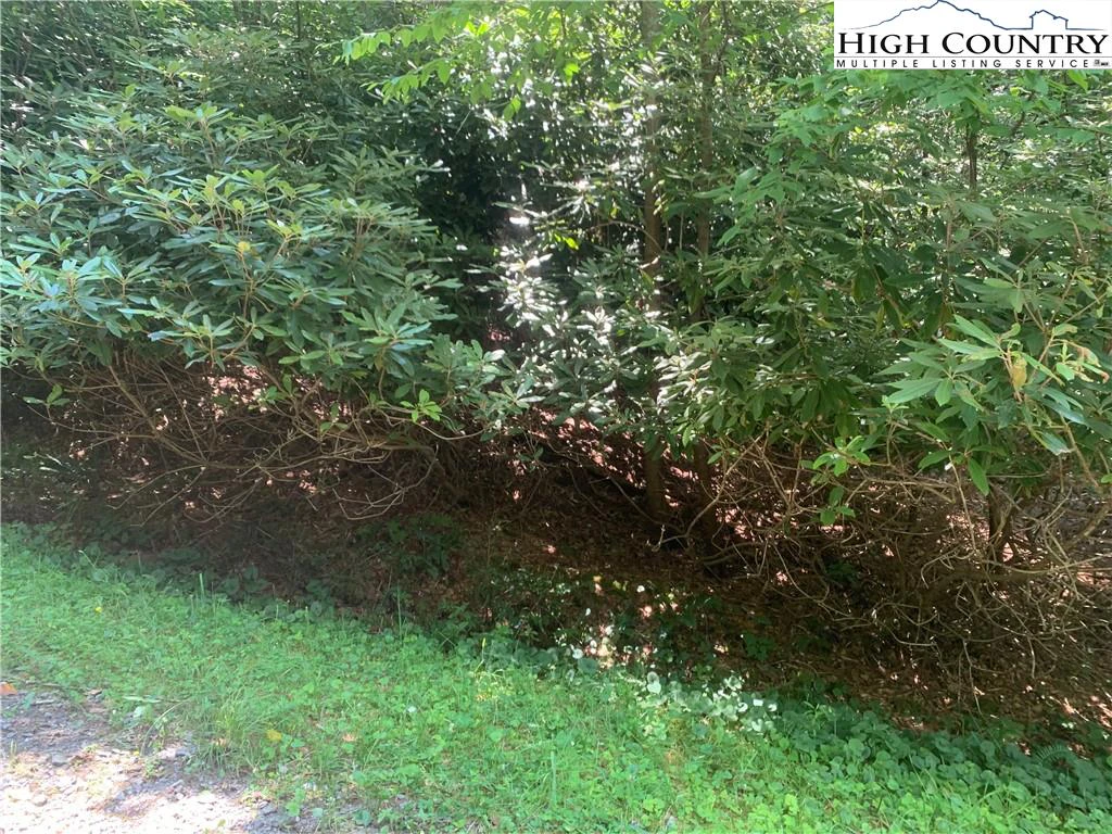 Image number 20 for the current listing