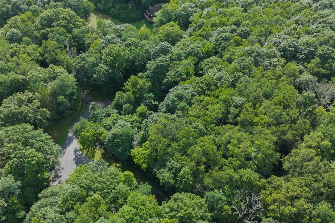 Image number 12 for the current listing
