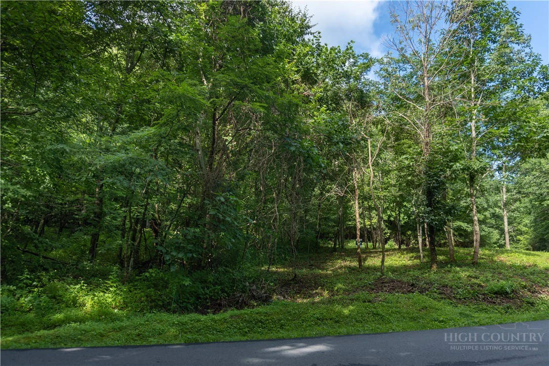 Image number 7 for the current listing