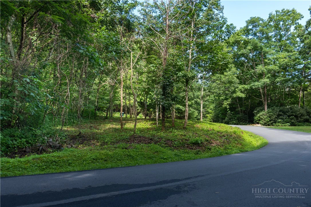 Image number 1 for the current listing