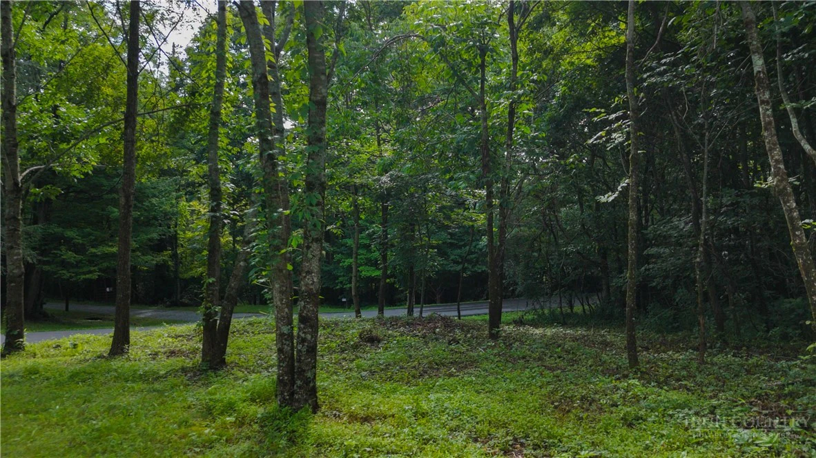 Image number 8 for the current listing