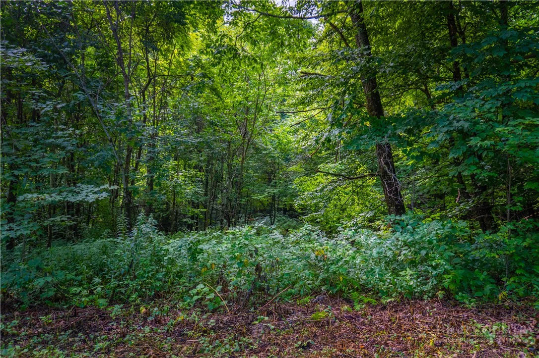 Image number 9 for the current listing