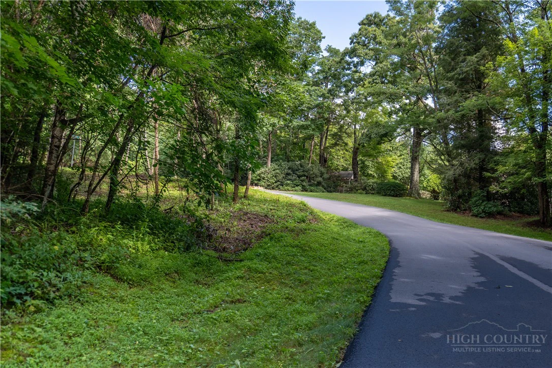 Image number 5 for the current listing