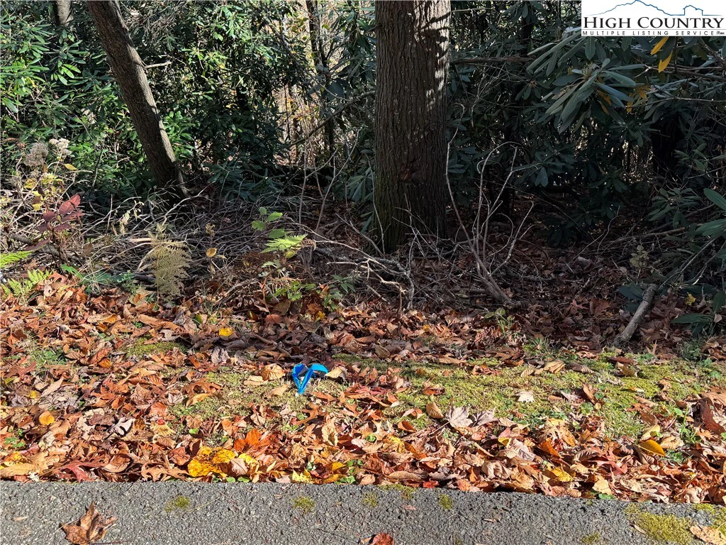 Image number 1 for the current listing