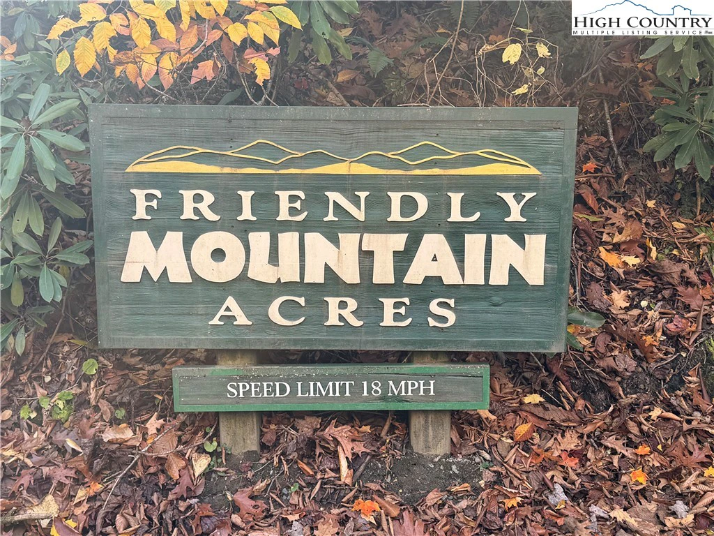 Image number 1 for the current listing