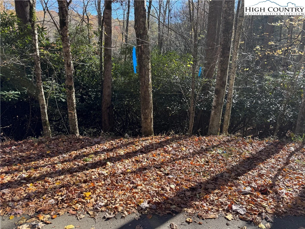 Image number 3 for the current listing