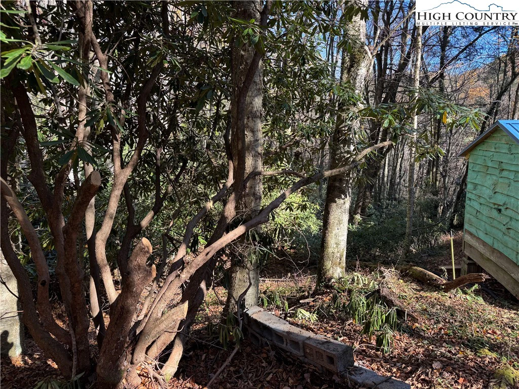 Image number 9 for the current listing