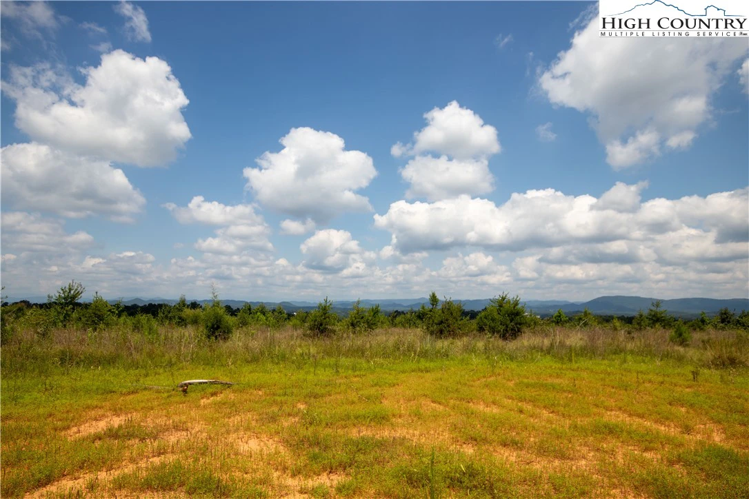 Image number 1 for the current listing