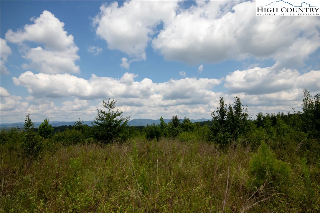 Image number 19 for the current listing