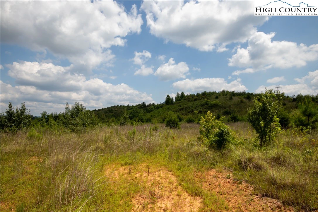 Image number 2 for the current listing