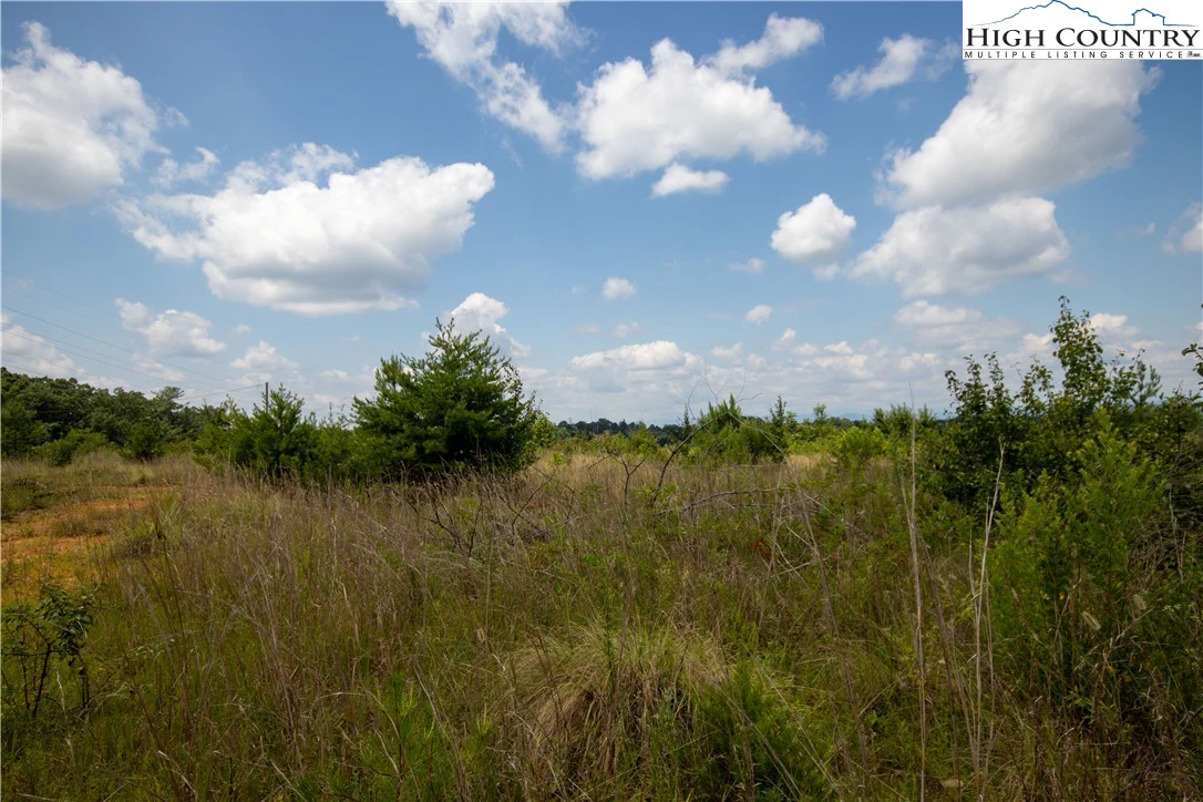 Image number 16 for the current listing