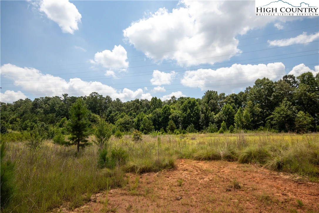 Image number 14 for the current listing