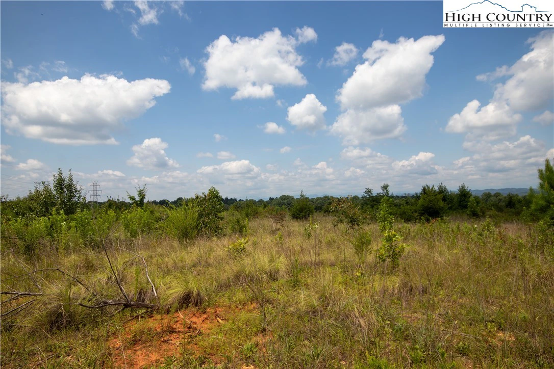 Image number 13 for the current listing