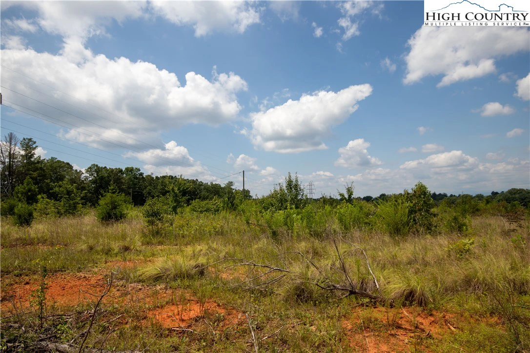 Image number 12 for the current listing
