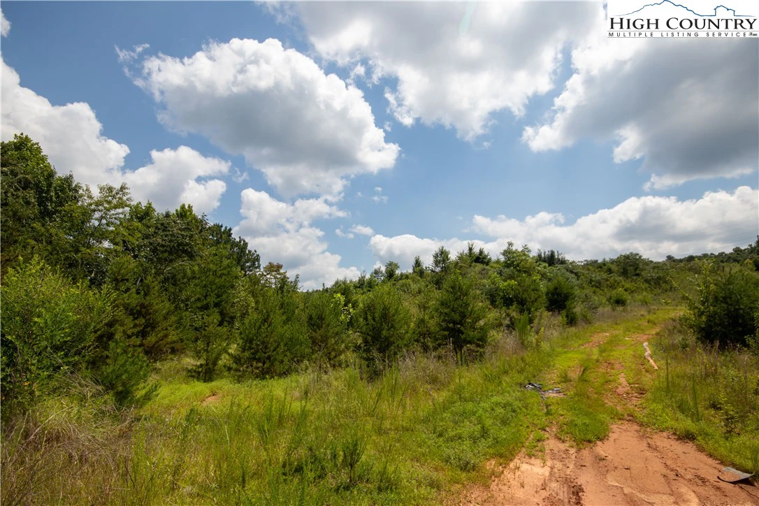 Image number 9 for the current listing