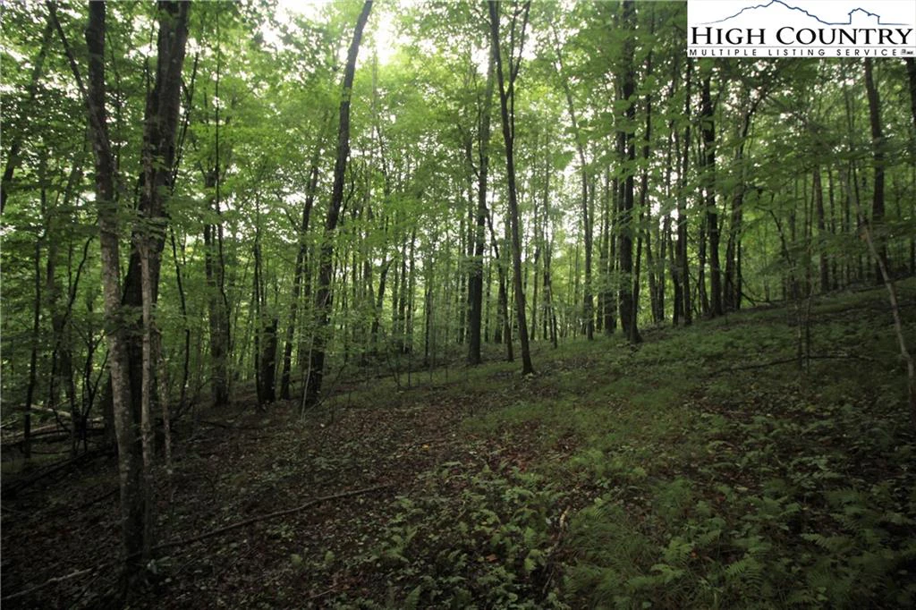 Image number 1 for the current listing