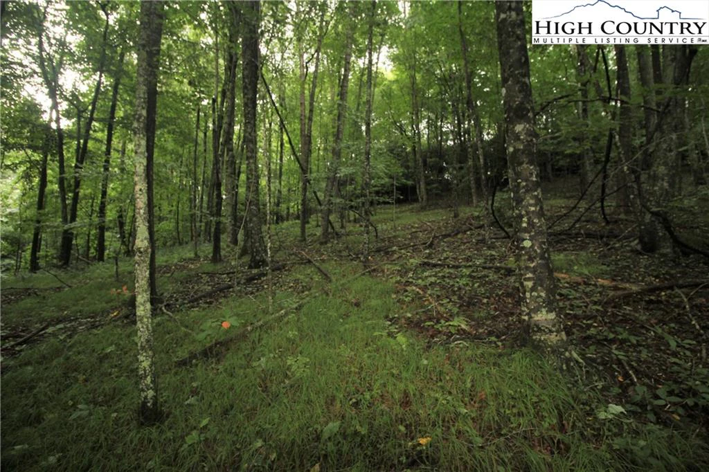 Image number 3 for the current listing